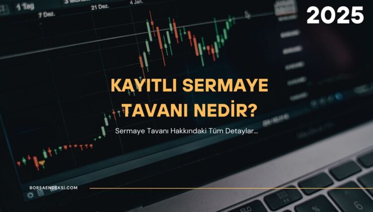 Kayıtlı Sermaye Tavanı Nedir?