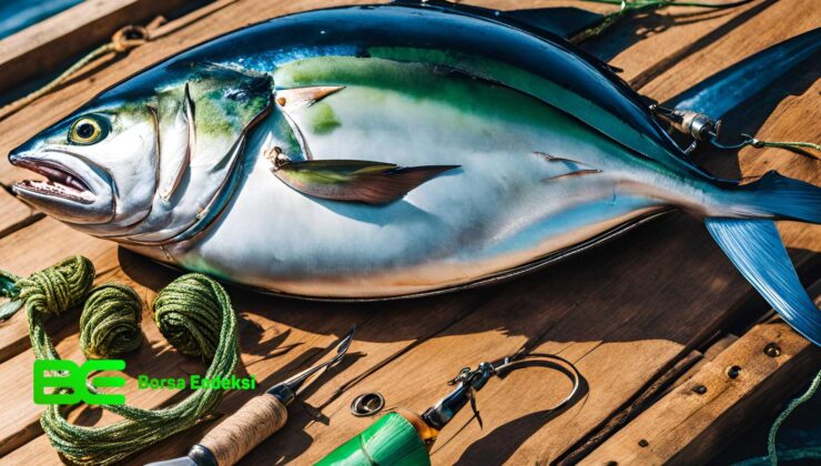 Dardanel (DARDL) Katılım Endeksine Uygun Mu?