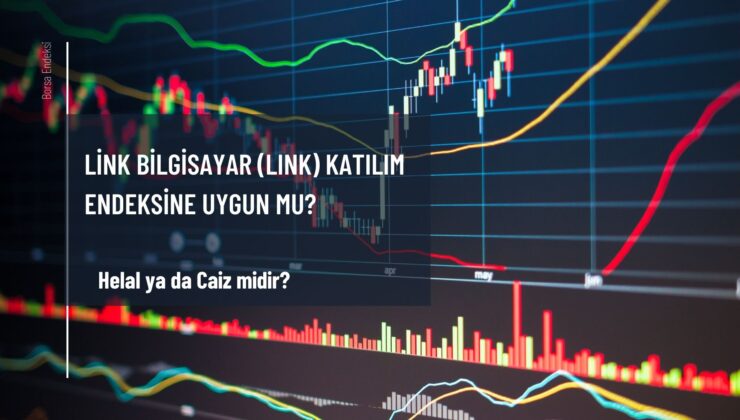 Link Bilgisayar (LINK) Katılım Endeksine Uygun Mu?