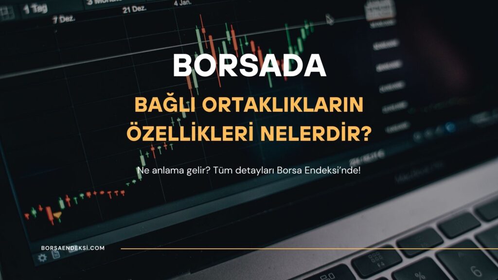 Bağlı Ortaklıkların Özellikleri Nelerdir