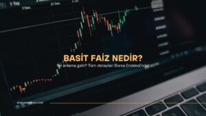 Basit Faiz Nedir?