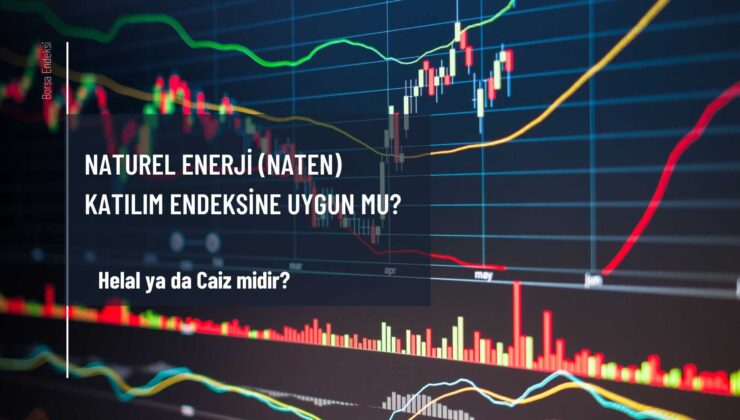 Naturel Enerji (NATEN) Katılım Endeksine Uygun Mu?