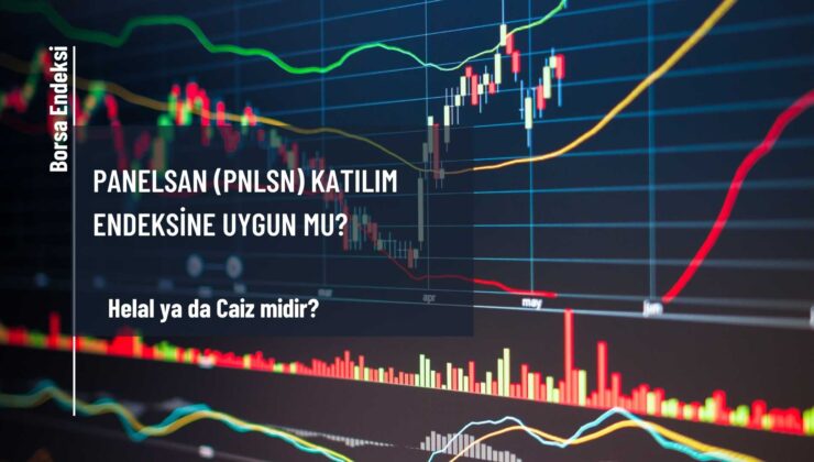 Panelsan (PNLSN) Katılım Endeksine Uygun Mu?