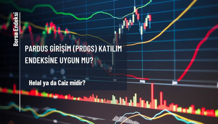 Pardus Girişim (PRDGS) Katılım Endeksine Uygun Mu?