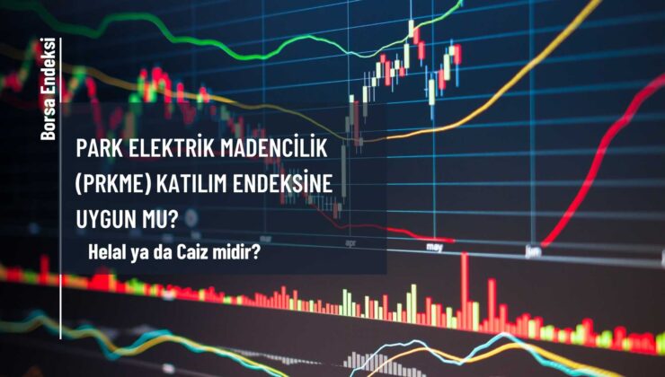 Park Elektrik Madencilik (PRKME) Katılım Endeksine Uygun Mu?