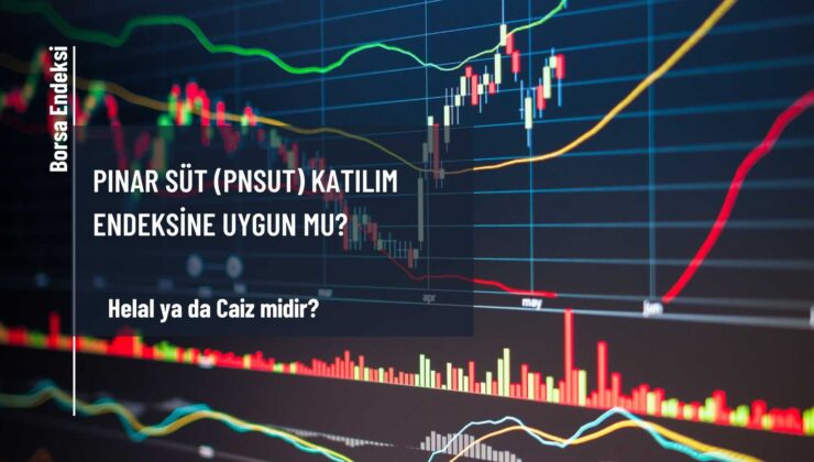 Pınar Süt (PNSUT) Katılım Endeksine Uygun Mu?
