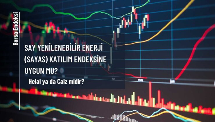 SAY Yenilenebilir Enerji (SAYAS) Katılım Endeksine Uygun Mu?