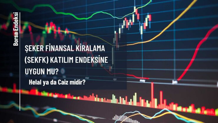 Şeker Finansal Kiralama (SEKFK) Katılım Endeksine Uygun Mu?