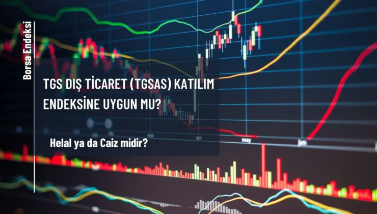 TGS Dış Ticaret (TGSAS) Katılım Endeksine Uygun Mu?