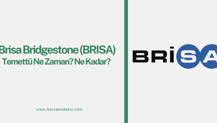 Brisa Bridgestone (BRISA) Temettü Tarihi Ne Zaman 2025?