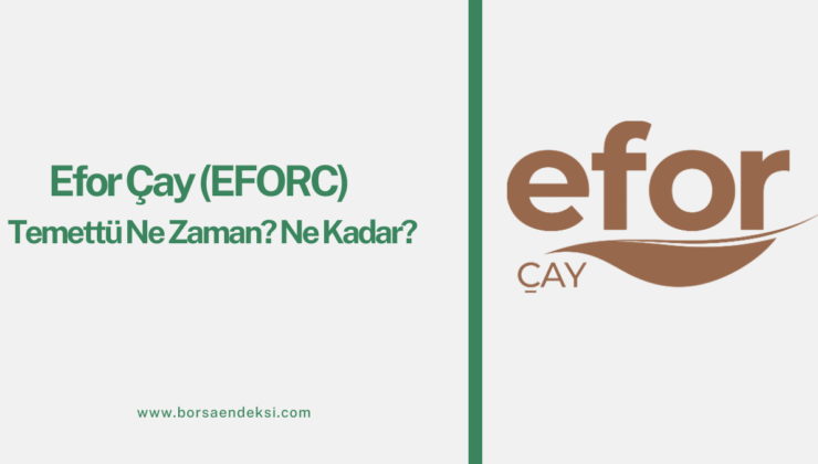 Efor Çay (EFORC) Temettü Ne Zaman 2025?