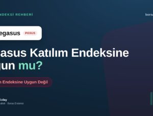 Pegasus (PGSUS) Katılım Endeksine Uygun mu?