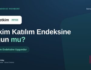 Petkim (PETKM) Katılım Endeksine Uygun mu?